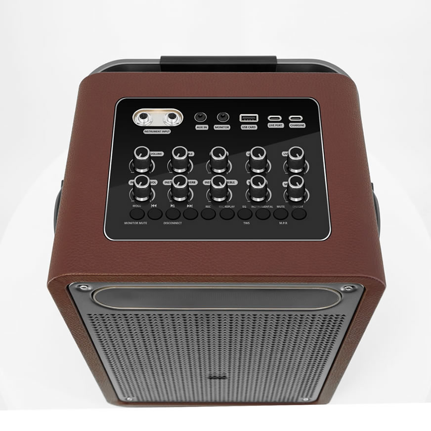 新款便携户外卡拉 OK 音箱